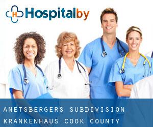 Anetsberger's Subdivision krankenhaus (Cook County, Illinois)