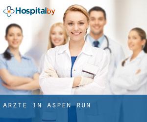 Ärzte in Aspen Run