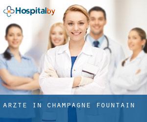 Ärzte in Champagne Fountain