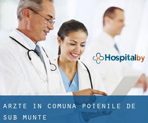 Ärzte in Comuna Poienile de sub Munte