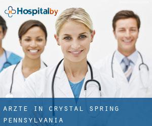 Ärzte in Crystal Spring (Pennsylvania)