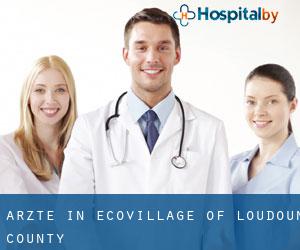 Ärzte in EcoVillage of Loudoun County