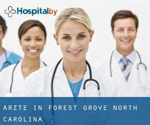 Ärzte in Forest Grove (North Carolina)