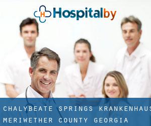 Chalybeate Springs krankenhaus (Meriwether County, Georgia)