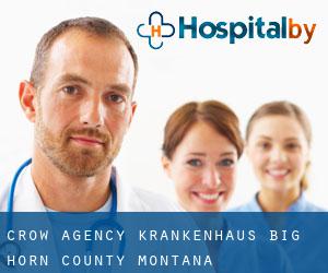 Crow Agency krankenhaus (Big Horn County, Montana)
