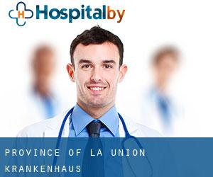 Province of La Union krankenhaus