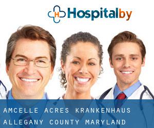 Amcelle Acres krankenhaus (Allegany County, Maryland)