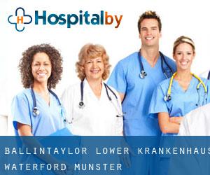 Ballintaylor Lower krankenhaus (Waterford, Munster)