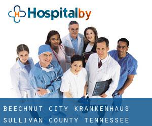 Beechnut City krankenhaus (Sullivan County, Tennessee)