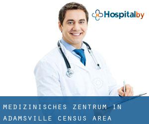 Medizinisches Zentrum in Adamsville (census area)