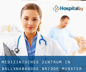 Medizinisches Zentrum in Ballynabanoge Bridge (Munster)
