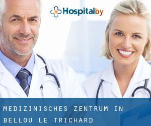 Medizinisches Zentrum in Bellou-le-Trichard