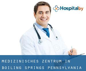 Medizinisches Zentrum in Boiling Springs (Pennsylvania)