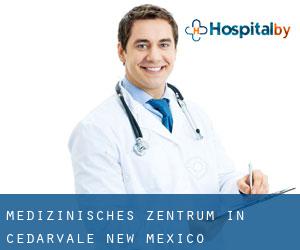 Medizinisches Zentrum in Cedarvale (New Mexico)