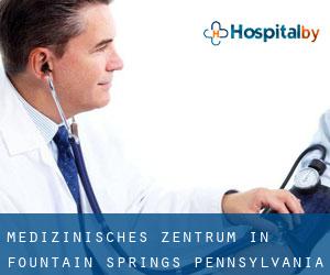 Medizinisches Zentrum in Fountain Springs (Pennsylvania)