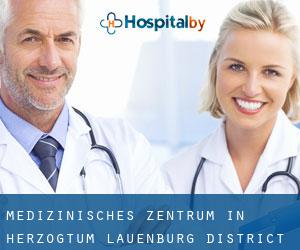 Medizinisches Zentrum in Herzogtum Lauenburg District