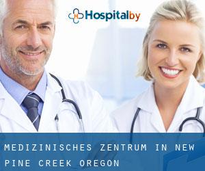Medizinisches Zentrum in New Pine Creek (Oregon)
