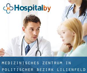 Medizinisches Zentrum in Politischer Bezirk Lilienfeld