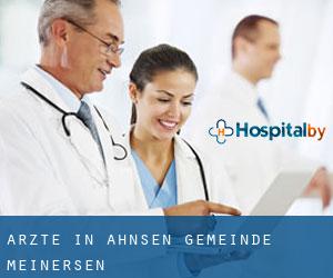 Ärzte in Ahnsen (Gemeinde Meinersen)