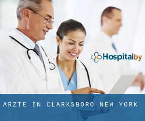 Ärzte in Clarksboro (New York)