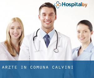 Ärzte in Comuna Calvini