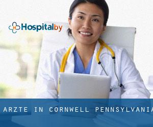 Ärzte in Cornwell (Pennsylvania)