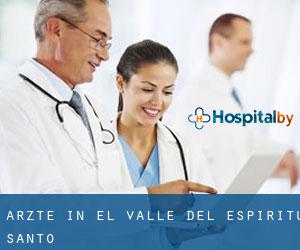 Ärzte in El Valle del Espíritu Santo