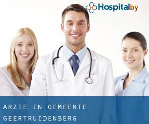 Ärzte in Gemeente Geertruidenberg