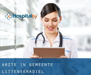 Ärzte in Gemeente Littenseradiel Ärzte in Gemeente Littenseradiel