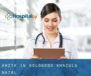 Ärzte in Gologodo (KwaZulu-Natal)