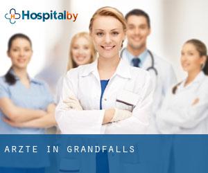 Ärzte in Grandfalls