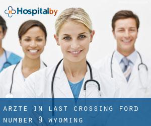 Ärzte in Last Crossing Ford Number 9 (Wyoming)