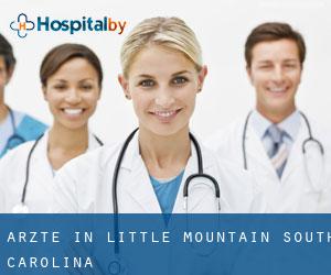 Ärzte in Little Mountain (South Carolina)