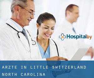 Ärzte in Little Switzerland (North Carolina)