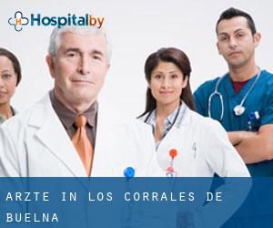 Ärzte in Los Corrales de Buelna
