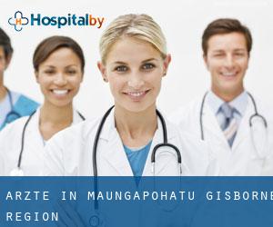 Ärzte in Maungapohatu (Gisborne Region)