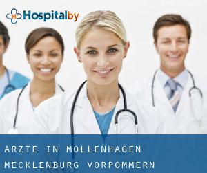 Ärzte in Möllenhagen (Mecklenburg-Vorpommern)