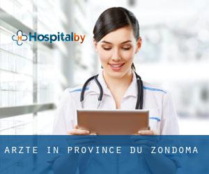 Ärzte in Province du Zondoma
