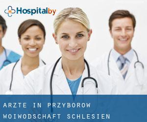 Ärzte in Przyborów (Woiwodschaft Schlesien)