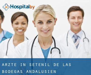 Ärzte in Setenil de las Bodegas (Andalusien)