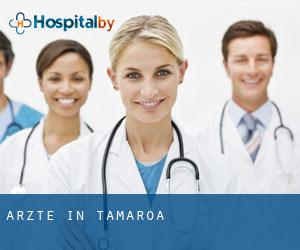 Ärzte in Tamaroa