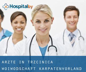 Ärzte in Trzcinica (Woiwodschaft Karpatenvorland)
