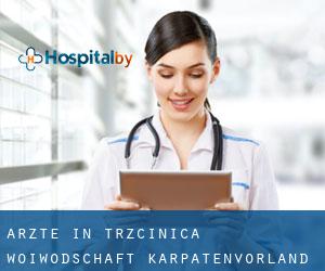 Ärzte in Trzcinica (Woiwodschaft Karpatenvorland)