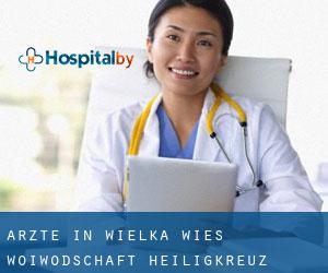 Ärzte in Wielka Wieś (Woiwodschaft Heiligkreuz)