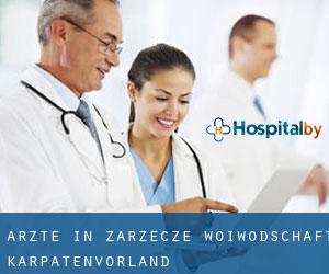 Ärzte in Zarzecze (Woiwodschaft Karpatenvorland)