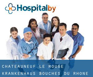 Châteauneuf-le-Rouge krankenhaus (Bouches-du-Rhône, Provence-Alpes-Côte d'Azur)