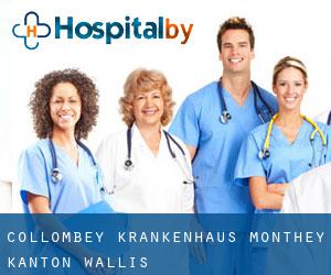 Collombey krankenhaus (Monthey, Kanton Wallis)