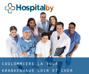 Coulommiers-la-Tour krankenhaus (Loir-et-Cher, Centre)