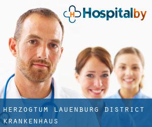 Herzogtum Lauenburg District krankenhaus