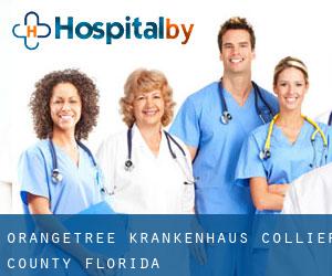 Orangetree krankenhaus (Collier County, Florida)